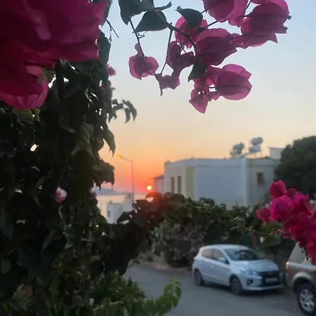 Sea,quality Sunset! 1 Apartment
