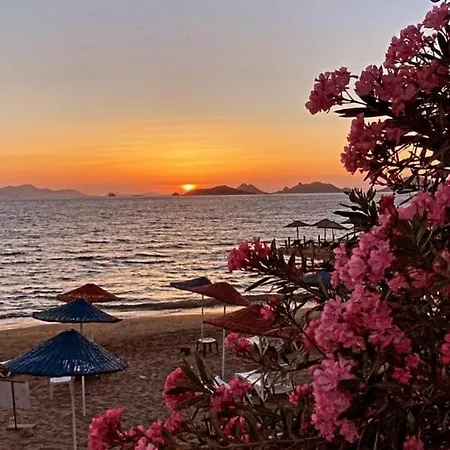 Sea,quality Sunset! 1 Lägenhet *