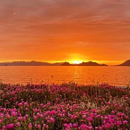 Lägenhet Sea,quality Sunset! 1